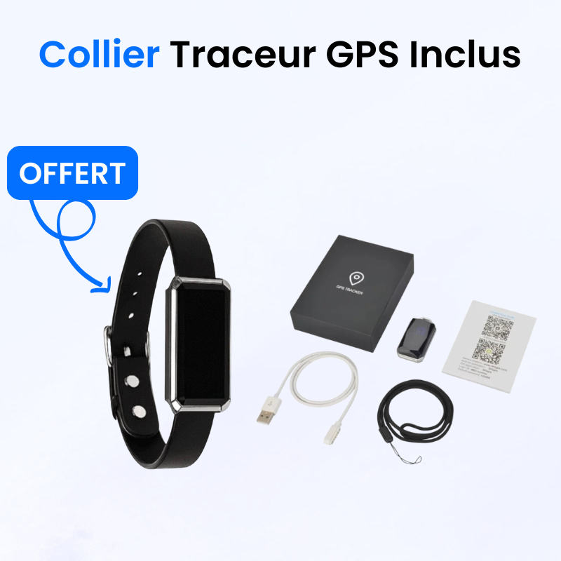 Traceur GPS pour Chien Sans Abonnement