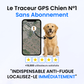 Traceur GPS pour Chien Sans Abonnement