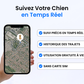 Traceur GPS pour Chien Sans Abonnement