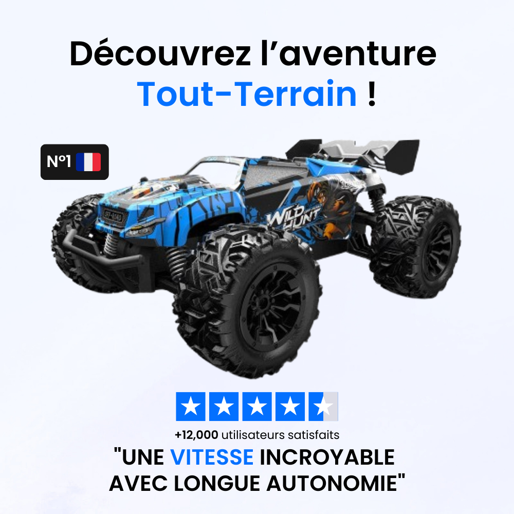 Voiture Télécommandée Buggy Motion Max